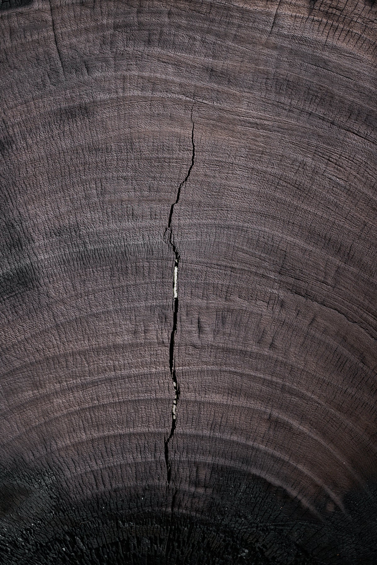 Milpa Wood Sculpture