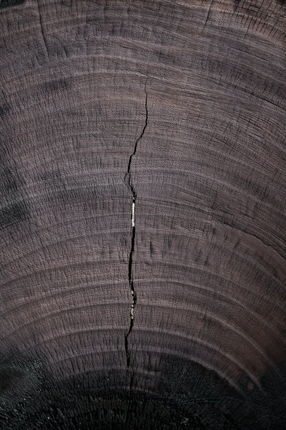 Milpa Wood Sculpture